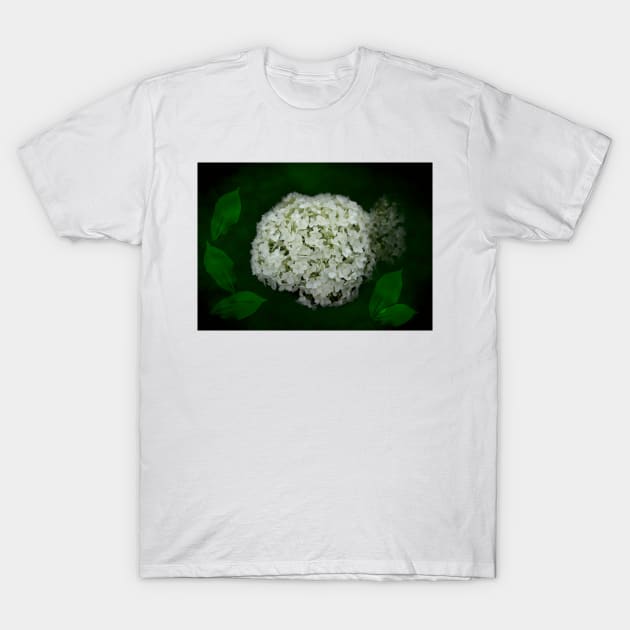 Hydrangea Digital Art T-Shirt by ButterflyInTheAttic